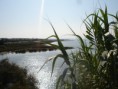 /album/tourisme-et-decouvertes/etang-de-l-or-jpg/